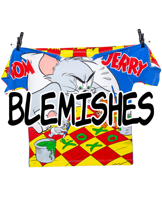 Cat Painting (BLEMS)